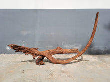 Load image into Gallery viewer, Driftwood #15 85cm by 18cm by 40cm