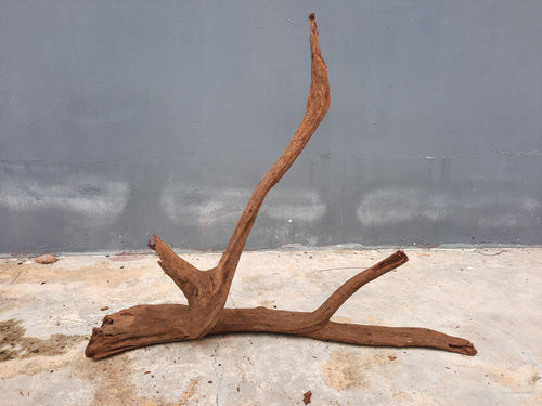 Driftwood #20 49cm by 11cm by 40cm