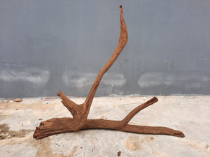 Driftwood #20 49cm by 11cm by 40cm